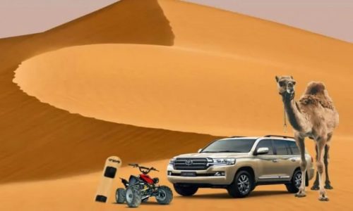 Morning-Desert-Safari-Camel-Ride-QuadBike-Sandsurfing